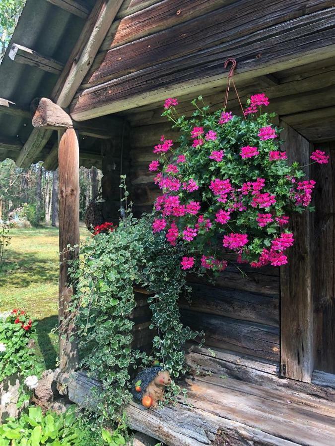 Rojaus Slenis Βίλα Ντρουσκινινκάι Εξωτερικό φωτογραφία